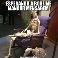 ESPERANDO A ROSE ME MANDAR MENSAGEM 