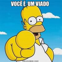 VOCÊ É  UM VIADO 
