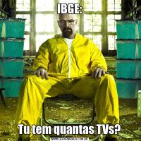 IBGE:Tu tem quantas TVs?