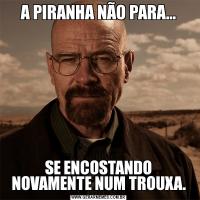 A PIRANHA NÃO PARA...SE ENCOSTANDO NOVAMENTE NUM TROUXA.