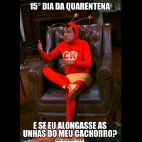 15° DIA DA QUARENTENAE SE EU ALONGASSE AS UNHAS DO MEU CACHORRO?
