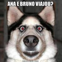 ANA E BRUNO VIAJOU?