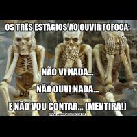 OS TRÊS ESTÁGIOS AO OUVIR FOFOCA:NÃO VI NADA...

NÃO OUVI NADA...

E NÃO VOU CONTAR... (MENTIRA!)