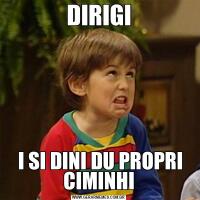 DIRIGI I SI DINI DU PROPRI CIMINHI