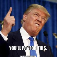 YOU'LL PAY FOR THIS.
