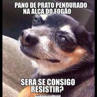      PANO DE PRATO PENDURADO NA ALÇA DO FOGÃO SERÁ SE CONSIGO RESISTIR? 