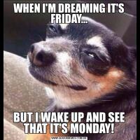 WHEN I'M DREAMING IT'S FRIDAY...BUT I WAKE UP AND SEE THAT IT'S MONDAY!