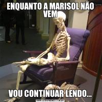 ENQUANTO A MARISOL NÃO VEMVOU CONTINUAR LENDO...