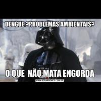 DENGUE ?PROBLEMAS AMBIENTAIS?O QUE  NÃO MATA ENGORDA