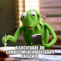 A SOCIEDADE DO CONHECIMENTO, AGITADA E EXIGENTE.
