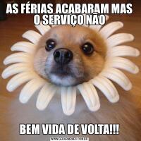 AS FÉRIAS ACABARAM MAS O SERVIÇO NÃOBEM VIDA DE VOLTA!!!