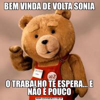 BEM VINDA DE VOLTA SONIAO TRABALHO TE ESPERA... E NÃO É POUCO