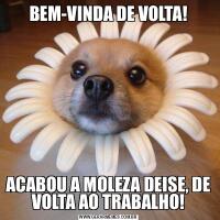 BEM-VINDA DE VOLTA!ACABOU A MOLEZA DEISE, DE VOLTA AO TRABALHO!
