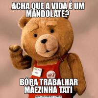ACHA QUE A VIDA É UM MANDOLATE?  BÓRA TRABALHAR MÃEZINHA TATI