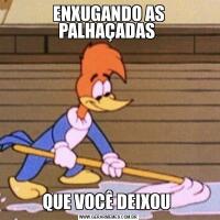ENXUGANDO AS PALHAÇADAS QUE VOCÊ DEIXOU 