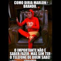 COMO DIRIA MARLON BRANDO,O IMPORTANTE NÃO É SABER FAZER, MAS SIM TER O TELEFONE DE QUEM SABE!