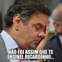 NÃO FOI ASSIM QUE TE ENSINEI, RICARDINHO...