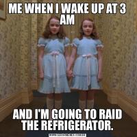 ME WHEN I WAKE UP AT 3 AMAND I'M GOING TO RAID THE REFRIGERATOR.