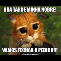 BOA TARDE MINHA NOBRE!VAMOS FECHAR O PEDIDO!!!