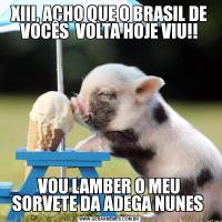XIII, ACHO QUE O BRASIL DE VOCÊS  VOLTA HOJE VIU!!VOU LAMBER O MEU SORVETE DA ADEGA NUNES 