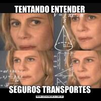 TENTANDO ENTENDERSEGUROS TRANSPORTES