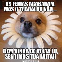 AS FÉRIAS ACABARAM, MAS O TRABALHO NÃO....BEM VINDA DE VOLTA LU, SENTIMOS TUA FALTA!!