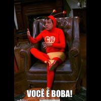 VOCÊ É BOBA!