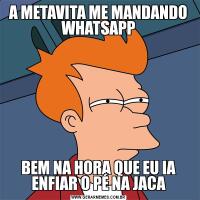 A METAVITA ME MANDANDO
WHATSAPPBEM NA HORA QUE EU IA ENFIAR O PÉ NA JACA