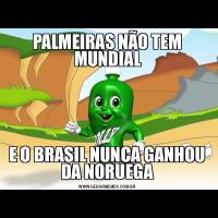 PALMEIRAS NÃO TEM MUNDIALE O BRASIL NUNCA GANHOU DA NORUEGA
