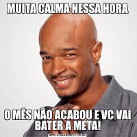 MUITA CALMA NESSA HORAO MÊS NÃO ACABOU E VC VAI BATER A META!