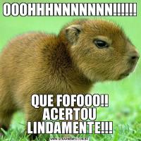 OOOHHHNNNNNNN!!!!!!QUE FOFOOO!! ACERTOU LINDAMENTE!!!