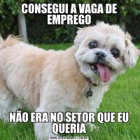 CONSEGUI A VAGA DE EMPREGONÃO ERA NO SETOR QUE EU QUERIA