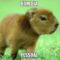 BOM DIA PESSOAL 