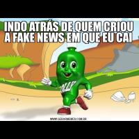 INDO ATRÁS DE QUEM CRIOU A FAKE NEWS EM QUE EU CAI