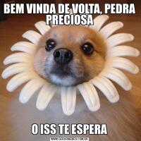 BEM VINDA DE VOLTA, PEDRA PRECIOSAO ISS TE ESPERA