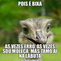 POIS É BIXAAS VEZES ERRO, AS VEZES SOU MOLECA, MAS TAMO AI NA LABUTA