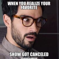 WHEN YOU REALIZE YOUR FAVORITESHOW GOT CANCELED