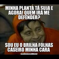 MINHA PLANTA TÁ SUJA E AGORA! QUEM IRÁ ME DEFENDER?SOU EU O BRILHA FOLHAS CASEIRO MINHA CARA 