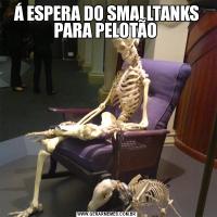 Á ESPERA DO SMALLTANKS PARA PELOTÃO 