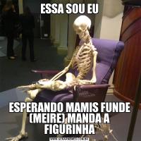 ESSA SOU EUESPERANDO MAMIS FUNDE (MEIRE) MANDA A FIGURINHA