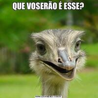 QUE VOSERÃO É ESSE?