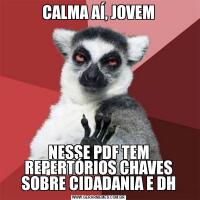CALMA AÍ, JOVEMNESSE PDF TEM REPERTÓRIOS CHAVES SOBRE CIDADANIA E DH