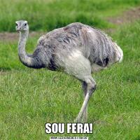 SOU FERA!