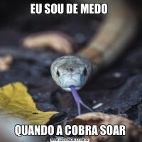 EU SOU DE MEDO QUANDO A COBRA SOAR