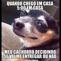 QUANDO CHEGO EM CASA 5:00 EM CASAMEU CACHORRO DECIDINDO SE VAI ME ENTREGAR OU NÃO