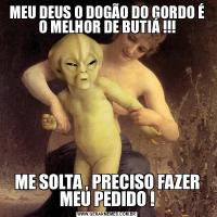 MEU DEUS O DOGÃO DO GORDO É O MELHOR DE BUTIÁ !!!ME SOLTA , PRECISO FAZER MEU PEDIDO !
