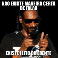 NAO EXISTE MANEIRA CERTA DE FALAREXISTE JEITO DIFERENTE