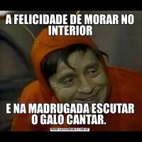 A FELICIDADE DE MORAR NO INTERIORE NA MADRUGADA ESCUTAR O GALO CANTAR. 