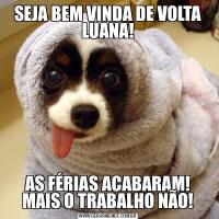 SEJA BEM VINDA DE VOLTA LUANA!AS FÉRIAS ACABARAM! MAIS O TRABALHO NÃO!