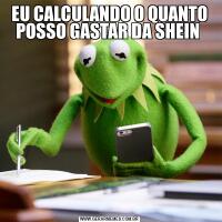 EU CALCULANDO O QUANTO POSSO GASTAR DA SHEIN 